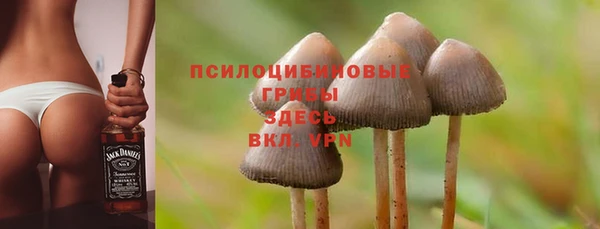 крисы Белокуриха