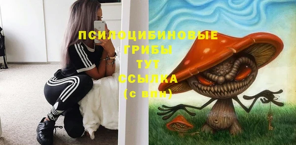 трава Беломорск