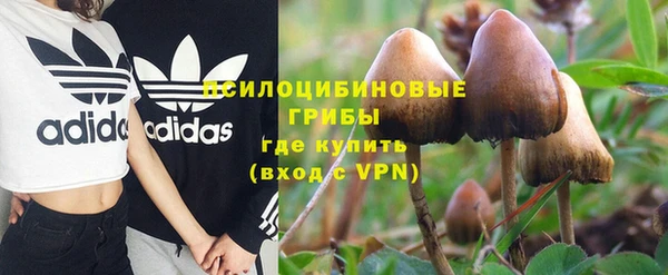 трава Беломорск